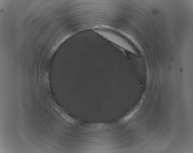 X0000077370881200611031908