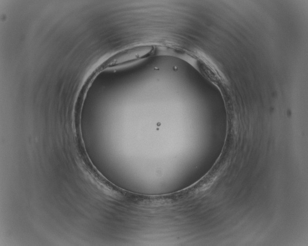 X0000077370884200611031908