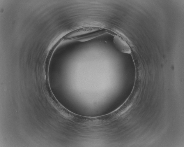 X0000077370885200611031908