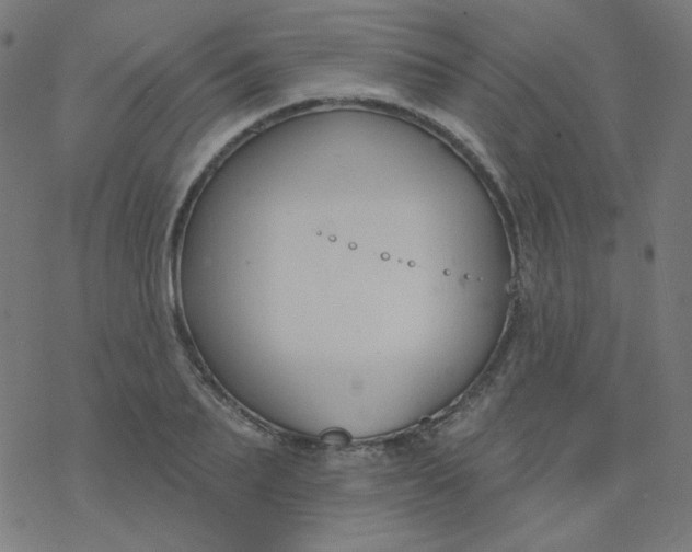 X0000077370887200611031908