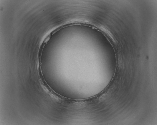 X0000077370888200611031908