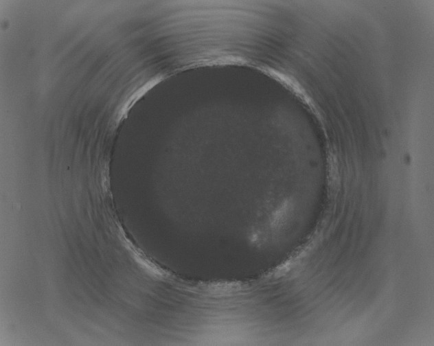 X0000077370889200611031908