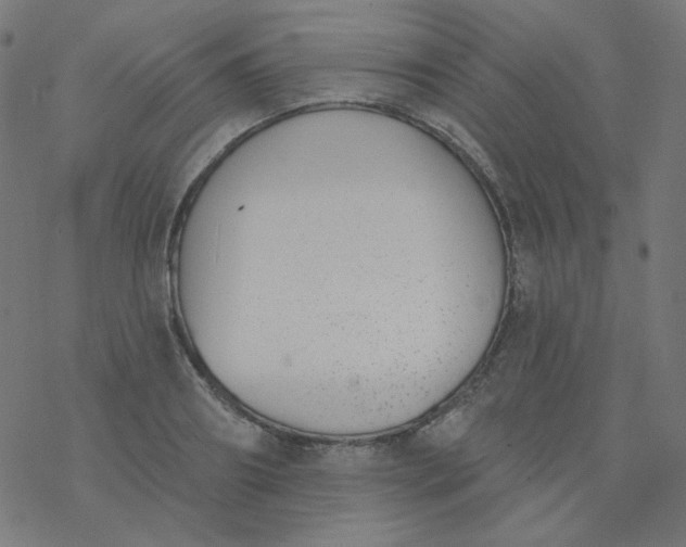 X0000077370890200611031908