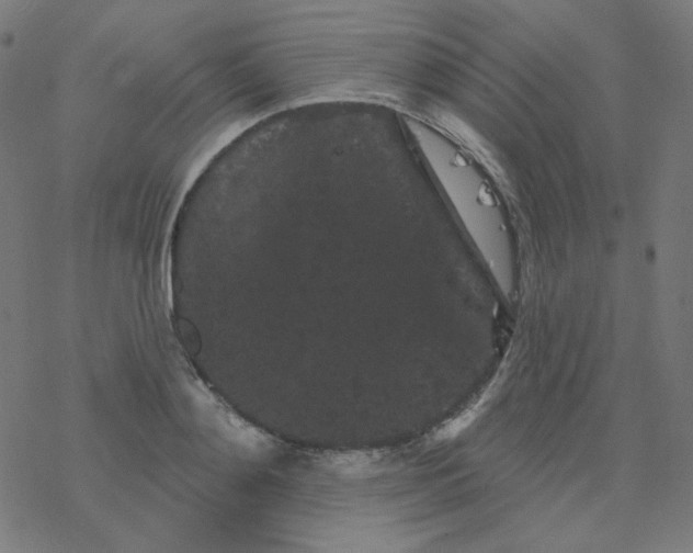 X0000077370892200611031908