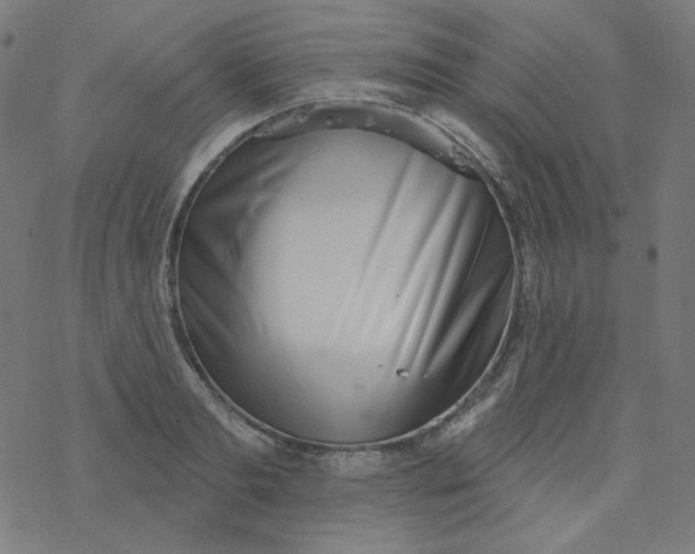 X0000077370893200611031908