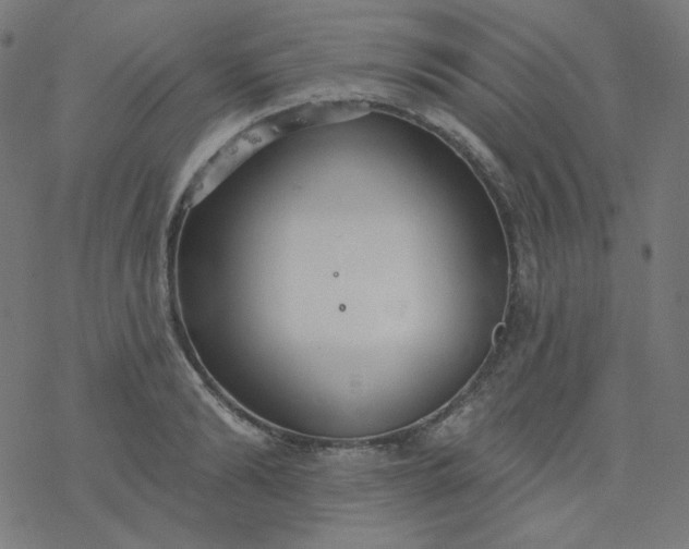 X0000077370894200611031908