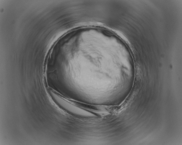 X0000077370895200611031908