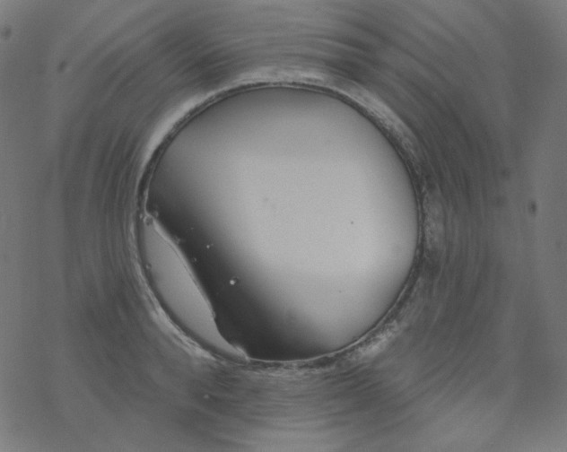 X0000077370896200611031908