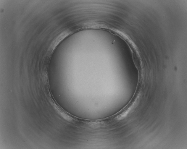 X0000077370897200611031908