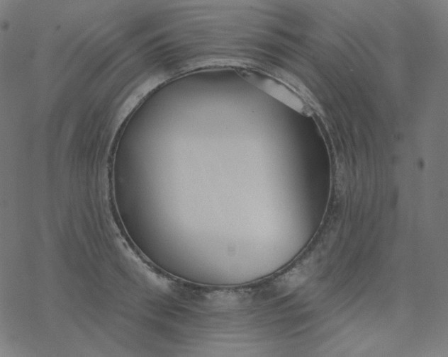 X0000077370898200611031908