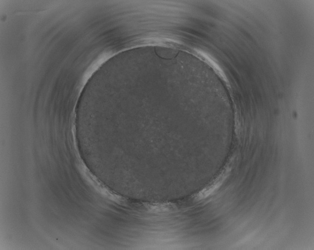 X0000077370899200611031908