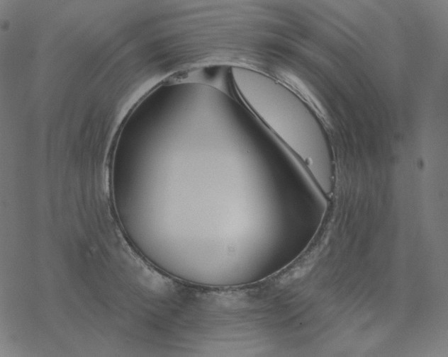 X0000077370900200611031908