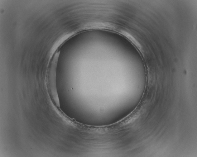 X0000077370901200611031908