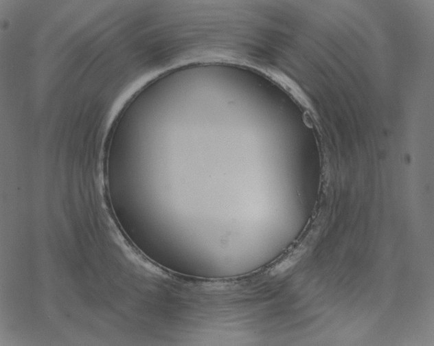 X0000077370904200611031908