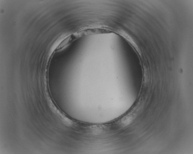 X0000077370906200611031908