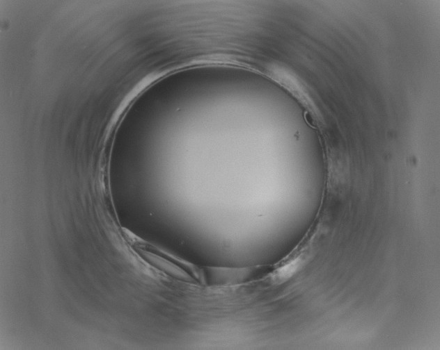 X0000077370908200611031908