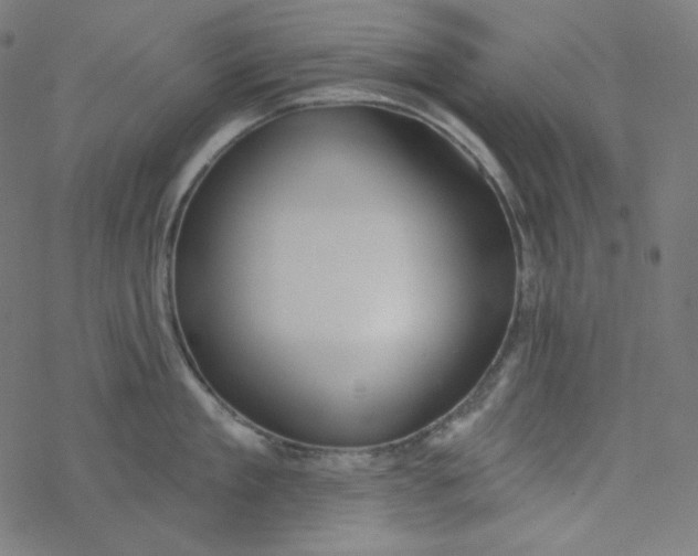 X0000077370909200611031908