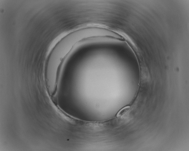 X0000077370910200611031908