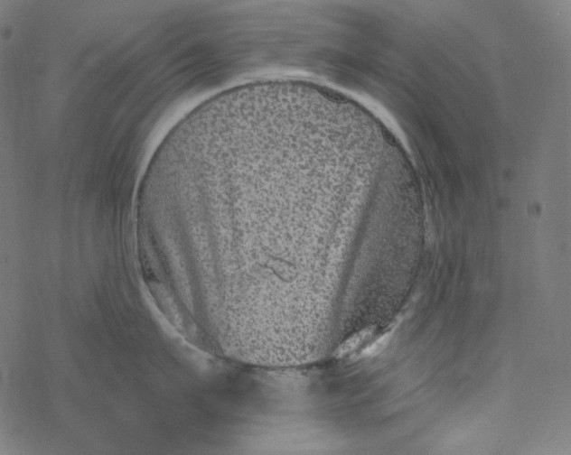 X0000077370911200611031908