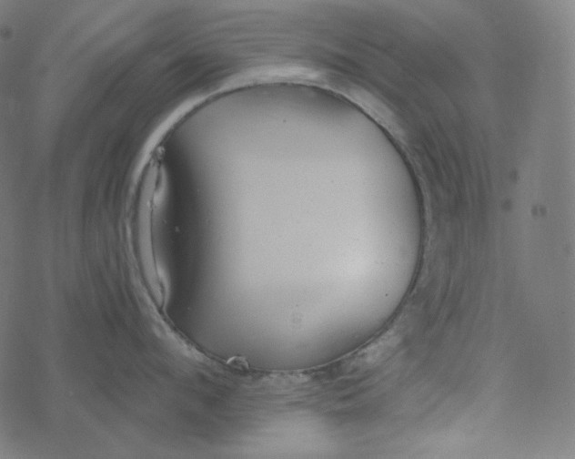 X0000077370912200611031908