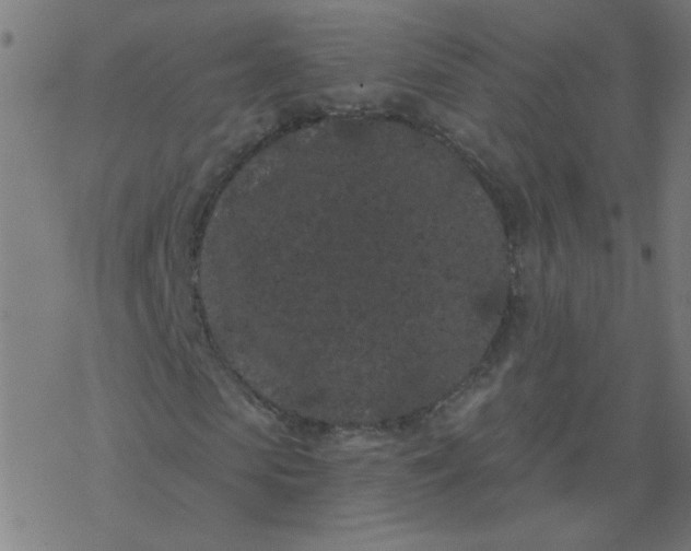 X0000077370913200611031907