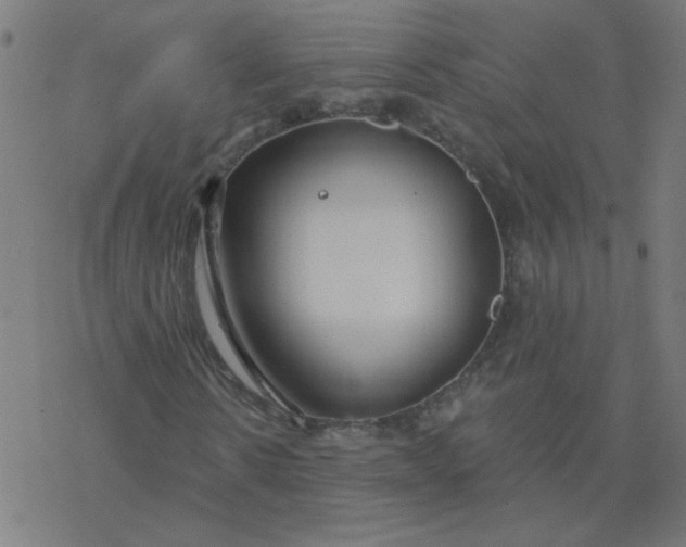 X0000077370914200611031907