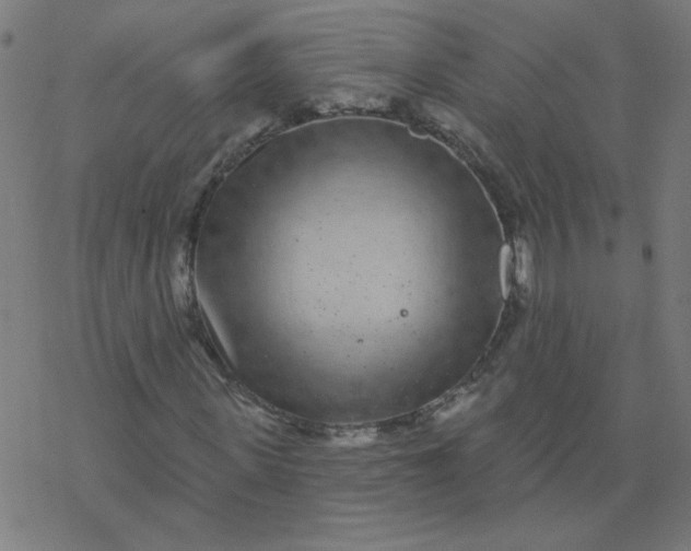 X0000077370915200611031907