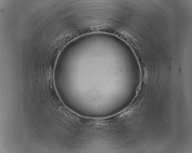 X0000077370917200611031907