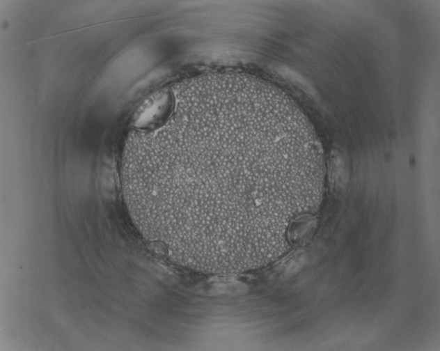 X0000077370918200611031907