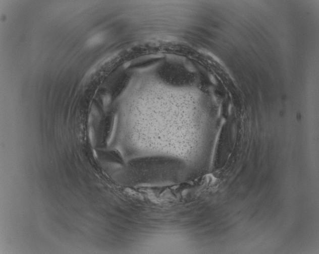 X0000077370919200611031907