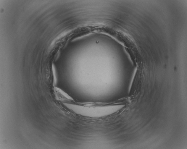 X0000077370920200611031907