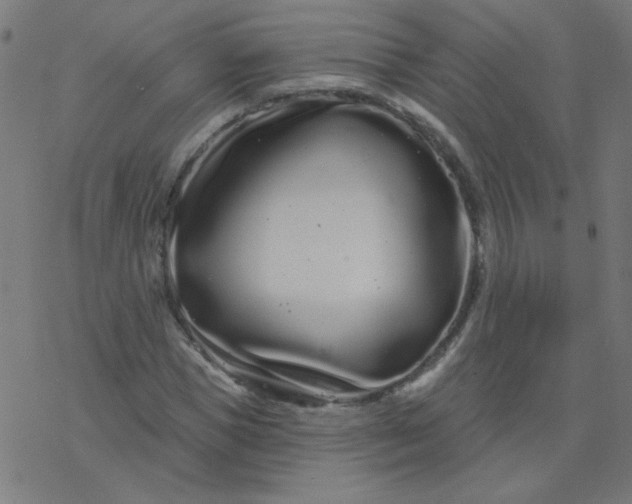 X0000077370921200611031907