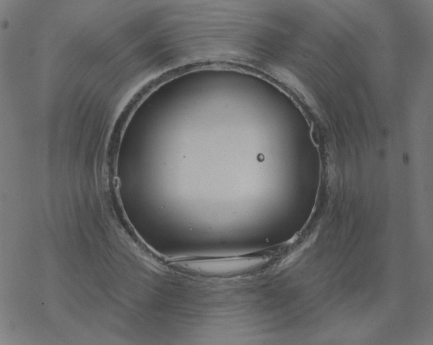 X0000077370924200611031907