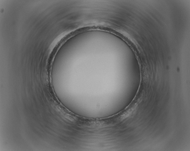 X0000077370927200611031907