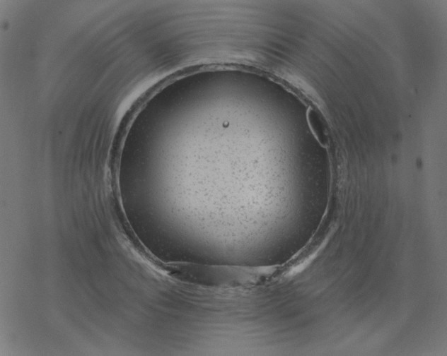 X0000077370928200611031907