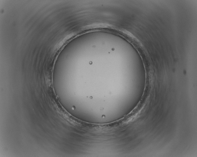 X0000077370929200611031907