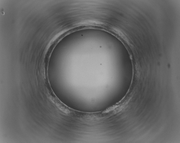 X0000077370931200611031907