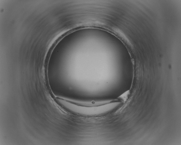 X0000077370932200611031907