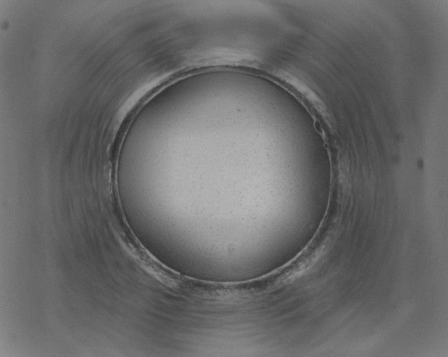 X0000077370933200611031907