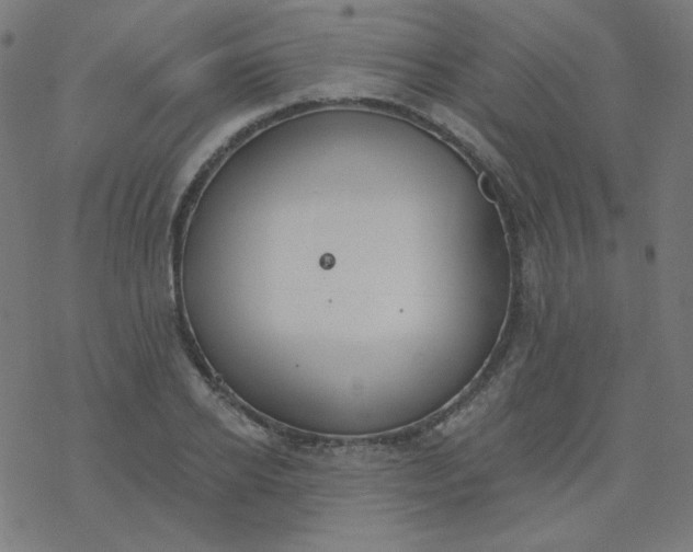 X0000077370934200611031907