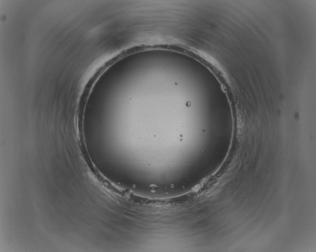 X0000077370935200611031907