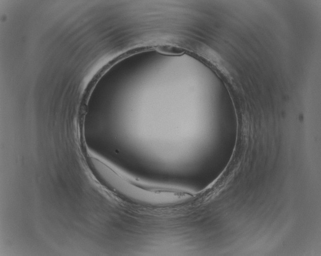 X0000077370936200611031907