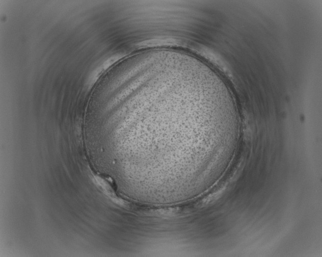 X0000077370937200611031907