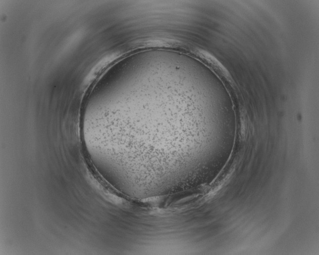 X0000077370938200611031908