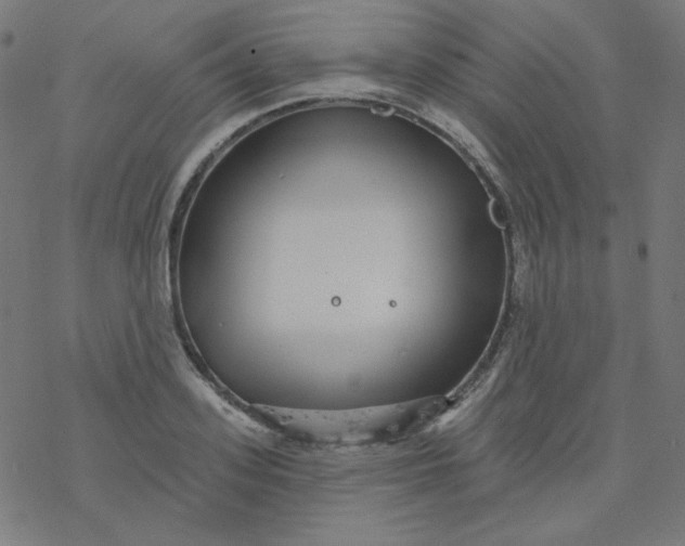 X0000077370939200611031908