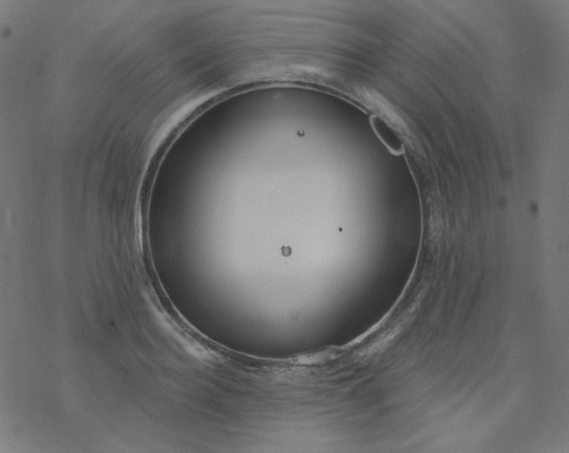 X0000077370940200611031908