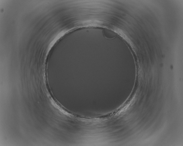 X0000077370941200611031908