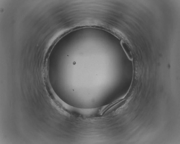 X0000077370942200611031908