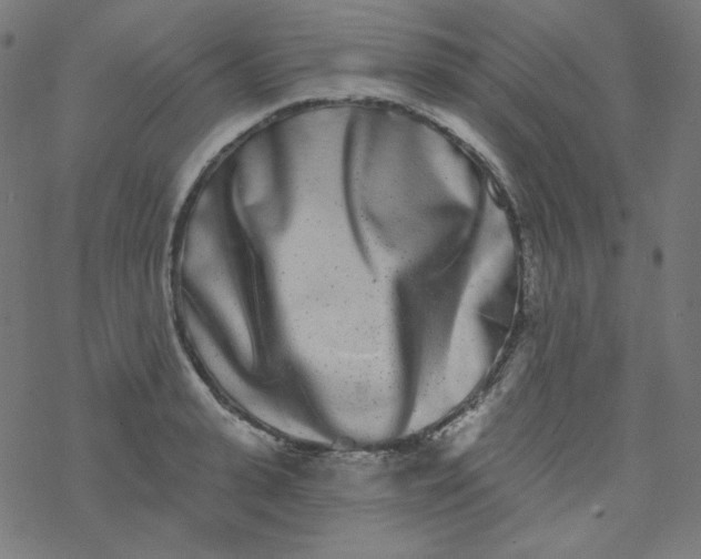 X0000077370943200611031908