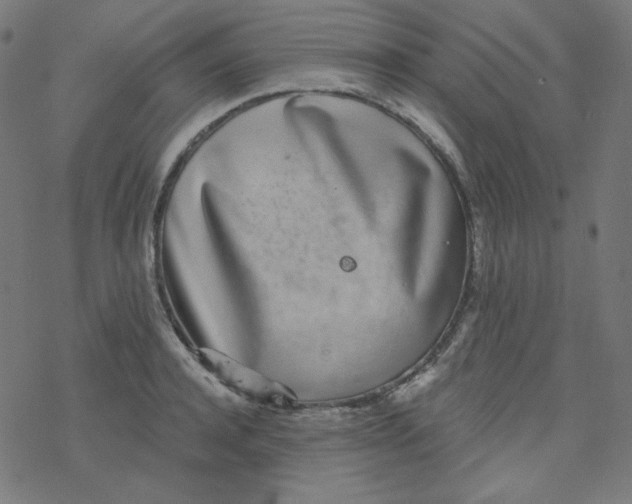 X0000077370944200611031908